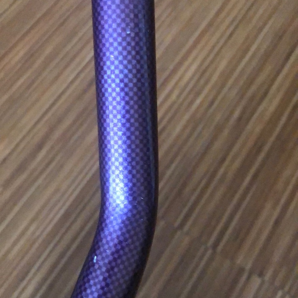 Cane - Picture 7 of 7
